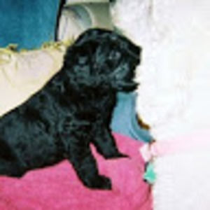 Meet your Posher, Barb